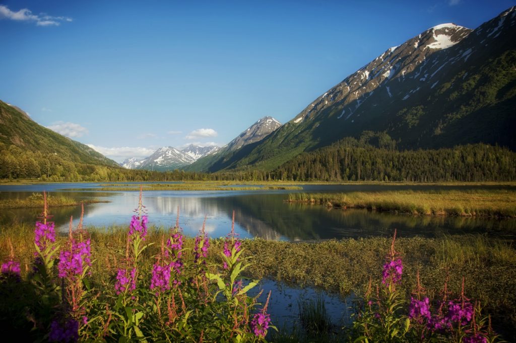 Alaska's landscape