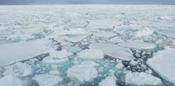 Sea ice in the Arctic